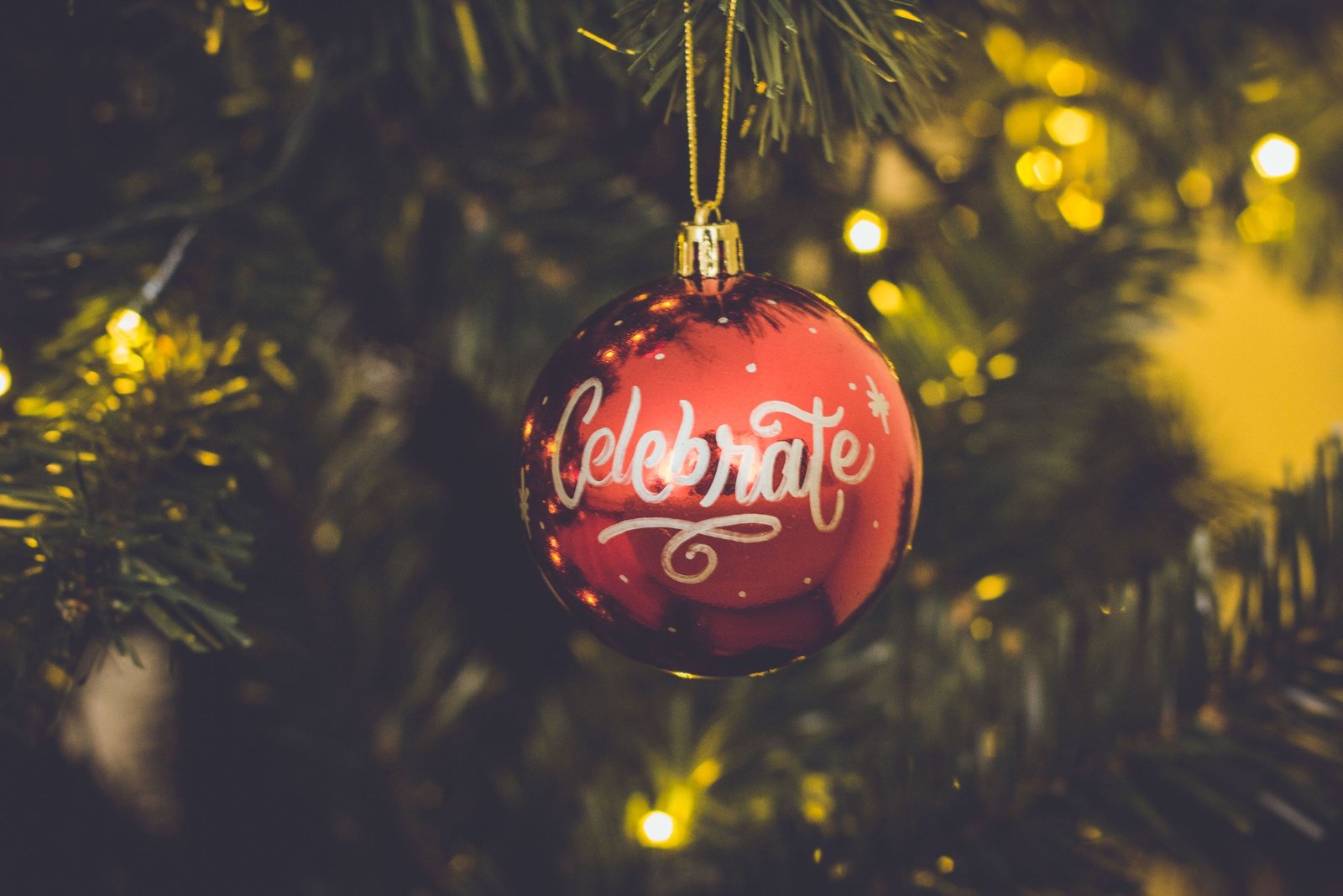 Close-up of a red Christmas ornament hanging on a decorated tree branch