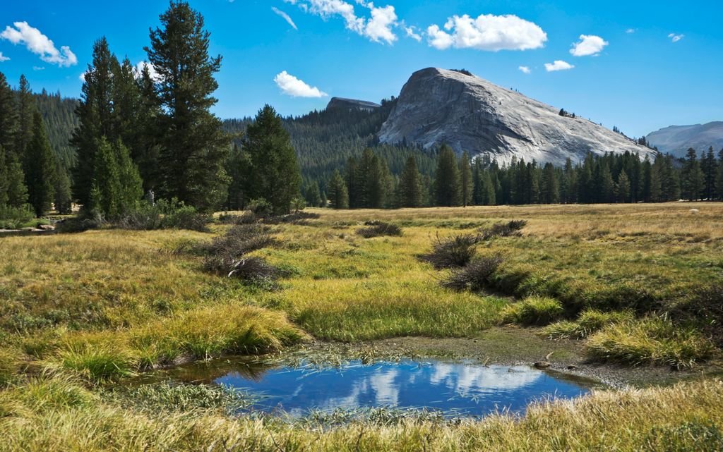 Tranquil meadow with a reflective pool and rock formations in Yosemite National Park under a blue sky.