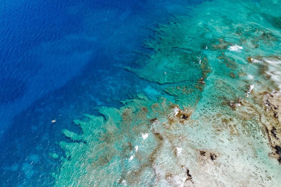 Beach with turquoise water and palm trees