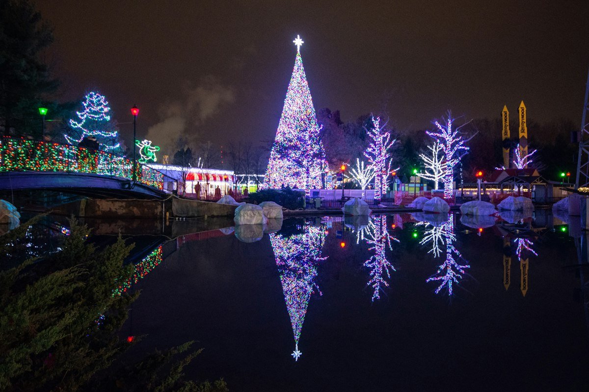 Kennywood Holiday Lights Christmas tree reflected in water at night